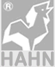 Hahn GmbH & Co. KG